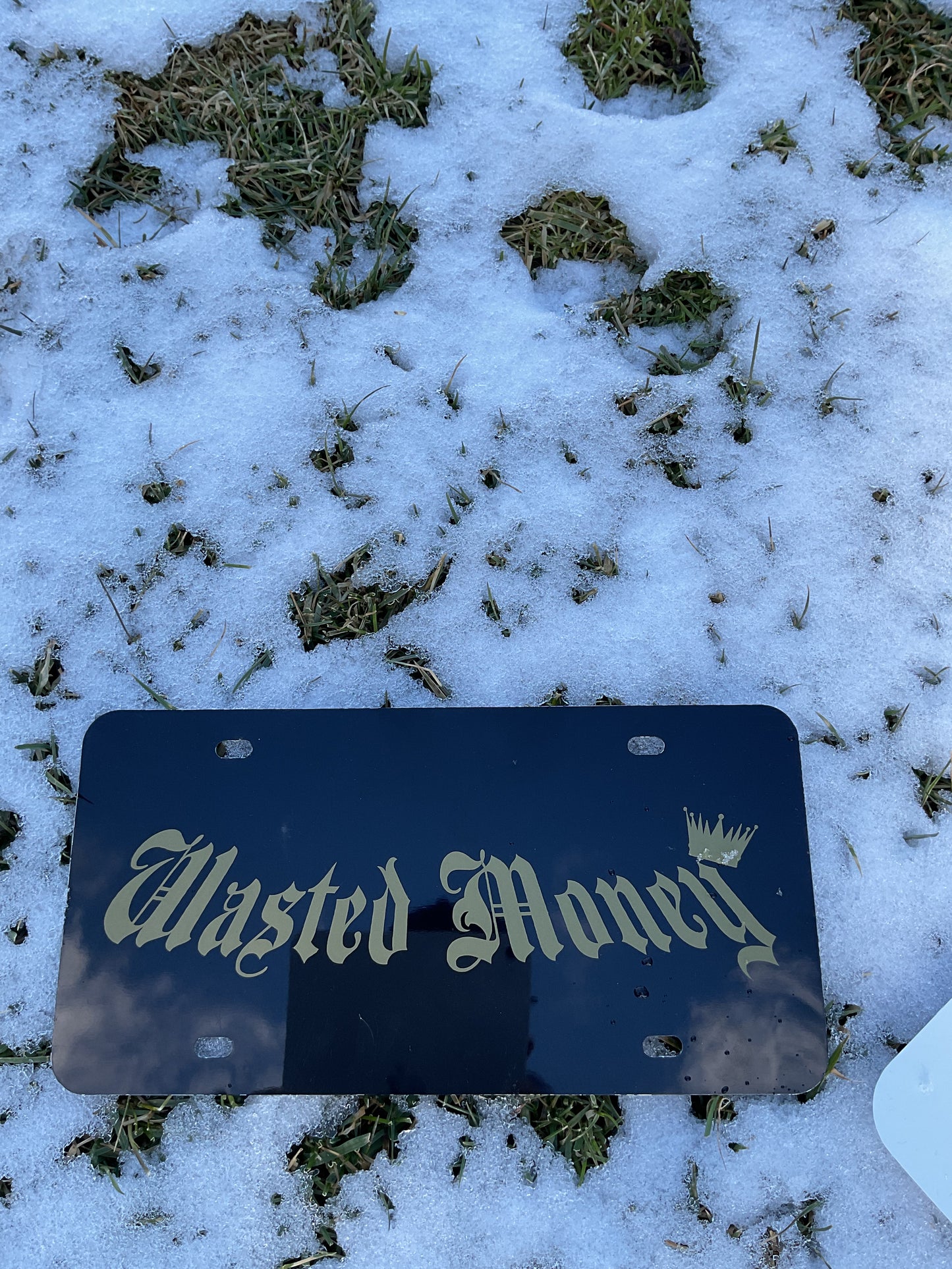 WASTED MONEY Custom License Plate